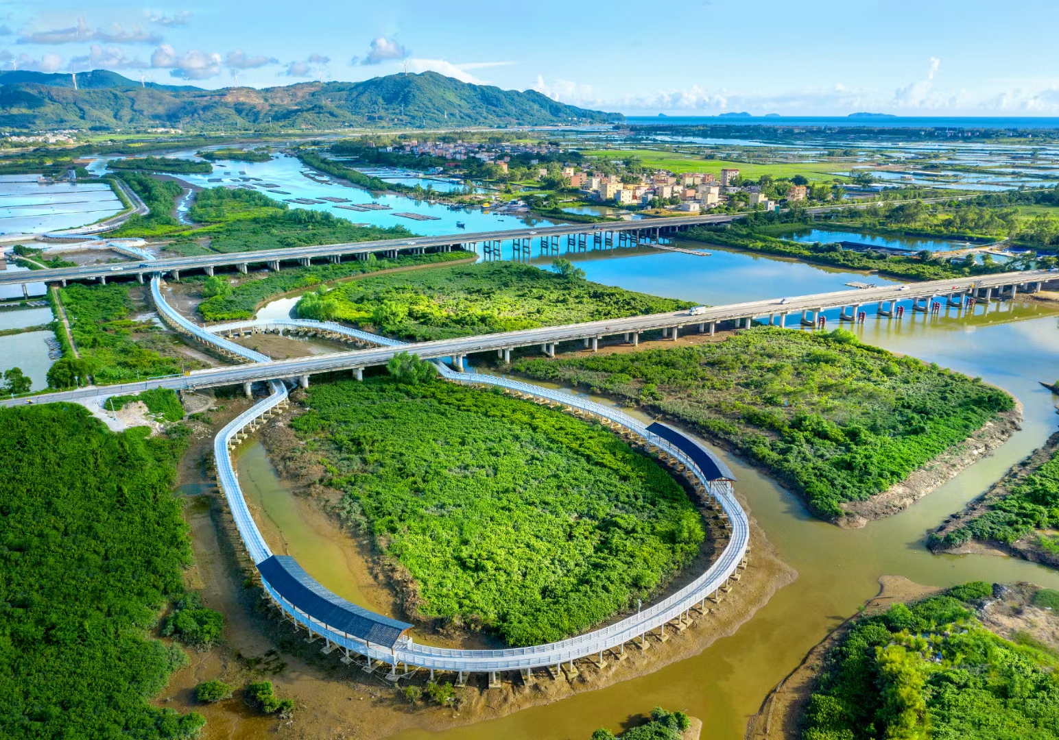 廣東陽東壽長河國家濕地公園.供圖：廣東省林業(yè)局