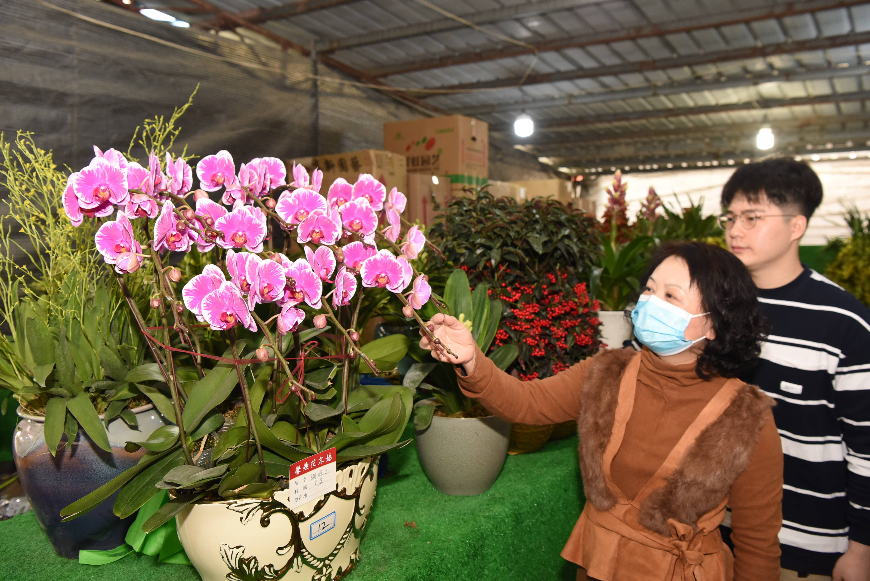 揭陽(yáng)市普寧洪陽(yáng)鎮(zhèn)的萬(wàn)花園。林潔松 攝